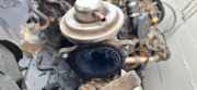 AGR Ventil Volkswagen Golf Plus, 2005.01 - 2008.05 038131501af, BKC