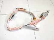 Sicherheitsmodul Seitenverkleidung Honda Accord, 2003.02 - 2005.09 Gebraucht,