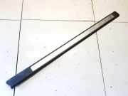 Einstiegsleiste vorne links Audi A3, 8P 2003.05 - 2005.06 8P3853491A,8P3853491A 8P3853491B