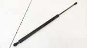 Gasdruckfeder Kofferraum Toyota Corolla Verso, II 2001.09 - 2004.05 689500W101A,68950-0W101-A