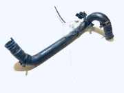 K?hlerschlauch Citroen Berlingo, I 1996.07 - 2002.11 Gebraucht,