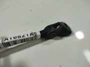 Türfangband Türbremse Türstopper - Vorne Rechts Renault Scenic, III 2009.02 - 2013.06 Gebraucht ,