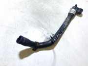 K?hlerschlauch Citroen C3, I 2002.02 - 2005.06 Gebraucht,