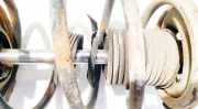 Fahrwerksfeder vorne Nissan Primera, P12 2002.01 - 2008.12 Gebraucht,