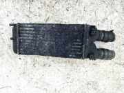 Ladeluftkühler Citroen Berlingo, II 2008.04 - 2018 Gebraucht,