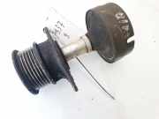 Riemenscheibe für Generator Ford Focus, 1998.10 - 2002.10 tf10924, tf-1092-4