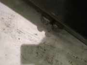 Heckklappe Heckklappenschloss Kofferraumschloss Audi A6, C5 1997.01 - 2001.08 Gebraucht,