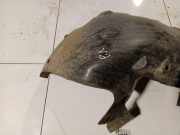 Radhausschale - Vorne Linke Renault Scenic, II 2006.06 - 2009.02 facelift Gebraucht,