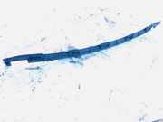 Stoßstangenhalter - Hinten Volkswagen Fox 2005 - 2011 5z0807863, Bmd