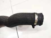 Intercooler Schlauch Mitsubishi Grandis, I 2004.01 - 2009.12 Gebraucht,