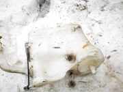 Scheibenwaschbehälter Vorne Wischwasserbehälter Mercedes-Benz w209, 2002.06 - 2009.12 2038600260,