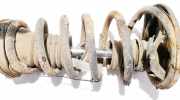 Fahrwerksfeder Hinterachse Lexus RX, 2000.07 - 2003.05 Gebraucht,