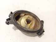 Nebelscheinwerfer - Vorne Rechts Mercedes-Benz CLC, I 2008.01 - 2012.12 a1698201656, a1698201656