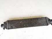 Ladeluftkühler Fiat Bravo, 2006.11 - 2014 Gebraucht,