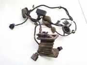 Kabelbaum Volkswagen Passat, B6 2005.08 - 2010.11 3c4971693gl, BXE