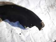 Radhausschale - Hinten Rechts Toyota Corolla Verso, III 2004.05 - 2007 Gebraucht,