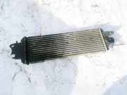 Ladeluftkühler Opel Vivaro A, 2001.08 - 2014.07 8200219497,8200219497A 93850451