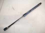 Gasdruckfeder Kofferraum Hyundai Santa Fe, 2006.03 - 2012.09 817702b000,81770-2b000