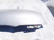 Kotflügel - Vorne Rechts Hyundai Santa Fe, 2000.11 - 2006.03 Sidabrine,