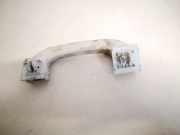 Haltegriff Haltegriff Verdeckgriff - Vorne Linke Mercedes-Benz A-CLASS, W169, 2004.09 - 2008.09 a1698100151,