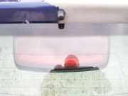 Zusatzbremsleuchte Nissan Micra, K12 2003.01 - 2007.06 Gebraucht,