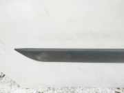 Zierleiste Tür Zier-Schutzleiste - Hinten Rechts Ford Focus, 2002.10 - 2005.01 facelift Gebraucht,