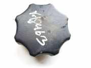 Innenausstattung Renault Megane, II 2002.11 - 2006.06 24421665, 428966428