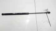 Gasdruckfeder Kofferraum Opel Astra, G 1998.09 - 2004.12 90559245,
