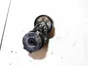 Spannrolle Renault Scenic, II 2003.06 - 2006.06 905328,