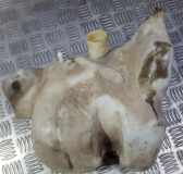 Scheibenwaschbeh?lter Vorne Wischwasserbeh?lter Citroen Xantia, I 1993.03 - 1998.01 Gebraucht,