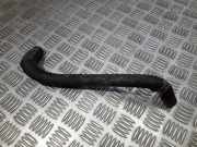 K?hlerschlauch Nissan X-Trail, 2001.06 - 2007.06 Gebraucht,