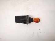 Glühbirnenfassung Blinker Renault Scenic, II 2003.06 - 2006.06 Gebraucht,