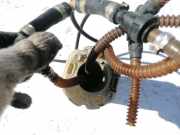 Kraftstoffpumpe Volkswagen Phaeton, 2002.04 - 2006 Gebraucht ,