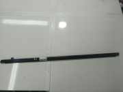 Zierleiste Leiste - Vorne Linke Subaru Legacy, BL, BP 2003.09 - 2009.12 Gebraucht,