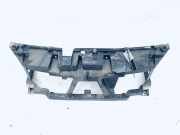 Schloßträger Renault Scenic, II 2003.06 - 2006.06 8200140174,00003s28