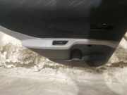 Türverkleidung - Hinten Linke Toyota Yaris, II (XP90) 2005.01 - 2011.01 Gebraucht,