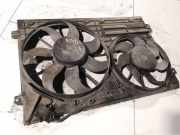 Kühlerlüfter Lüftermotor Skoda Superb, II 2008.03 - 2013.06 Gebraucht,