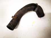 K?hlerschlauch Nissan Qashqai, I 2006.01 - 2010.06 Gebraucht,