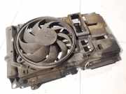 Kühlerlüfter Lüftermotor Citroen Berlingo, I 2002.11 - 2008.04 facelift Gebraucht,