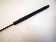 Gasfeder f?r Motorhaube Mercedes-Benz W251 2005 - 2011 8081wl,