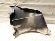 Kotfl?gel - Vorne Linke Volkswagen Transporter, T5 2003.04 - 2009.11 Balta,