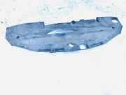 Schloßträger Lexus IS, II 2005.10 - 2013.03 5329553020,53295-53020