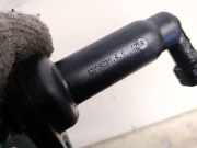 Kupplungsnehmerzylinder Nehmerzylinder Skoda Octavia, II 2004.02 - 2009.03 kn1903141,