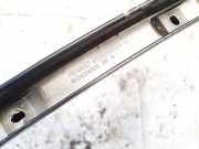 Schutzleiste T?r - Hinten Linke Renault Megane, III 2008.11 - 2012.06 822820005r,