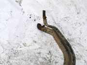 Tankeinfüllstutzen Tankrohr Kraftstoffrohr Toyota Avensis, II 2003.04 - 2006.03 Gebraucht,