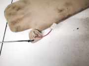 Sonnenblende Nissan Murano, Z50 2003.08 - 2008.06 Gebraucht,