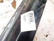 Zierleiste T?r Zier-Schutzleiste - Vorne Linke Audi A8, D3 2002.09 - 2005.6 Gebraucht,