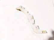 Stoßstangenhalter - Hinten Rechts Mazda 6, 2002.06 - 2007.08 Gebraucht,