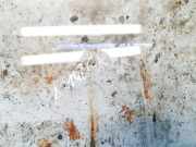 Seitenfenster Seitenscheibe - Audi A3, 8L 1996.09 - 2000.10 Gebraucht,