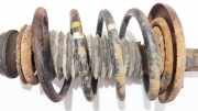 Fahrwerksfeder vorne Volkswagen Sharan, 7M 1995.09 - 2000.04 Gebraucht, Avg